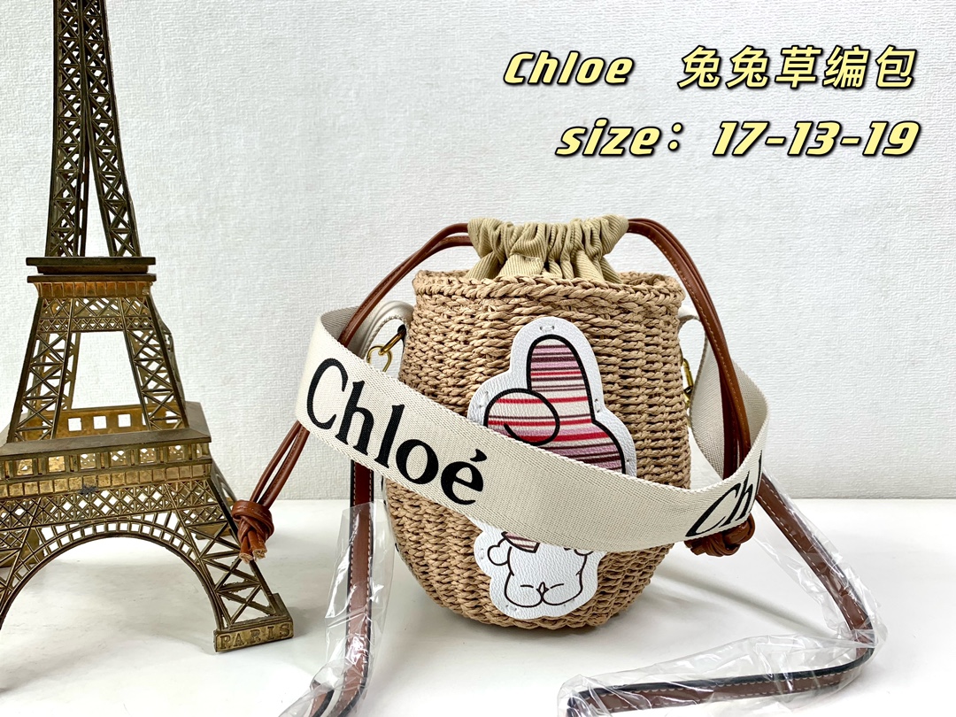 Chloe Shopping Bags